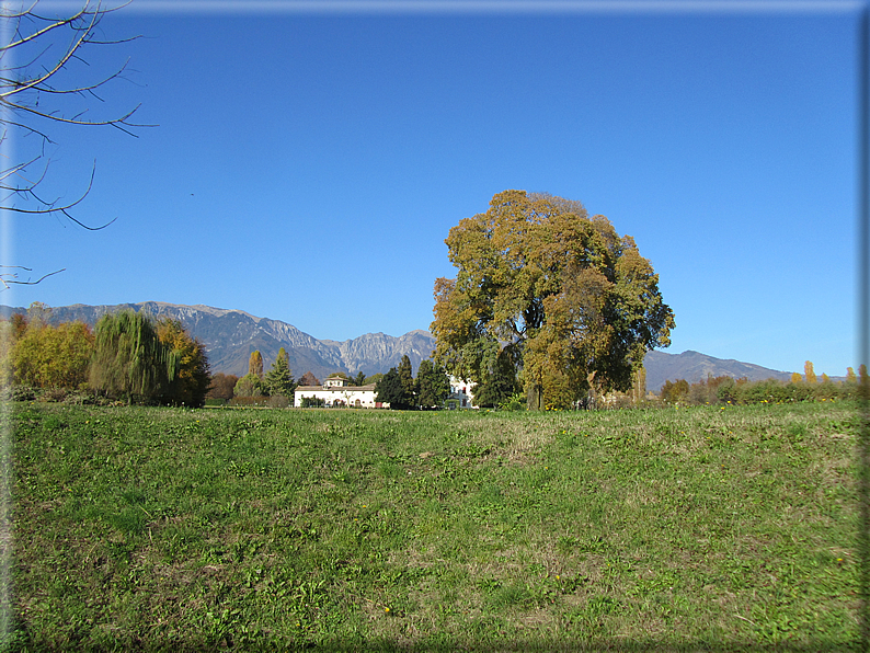 foto Paesaggi Autunnali tra le colline Fontesi